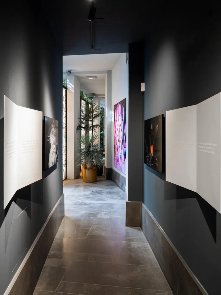 Kitchen-Stories-Brioni-lalique-Dualitè-creative-concept