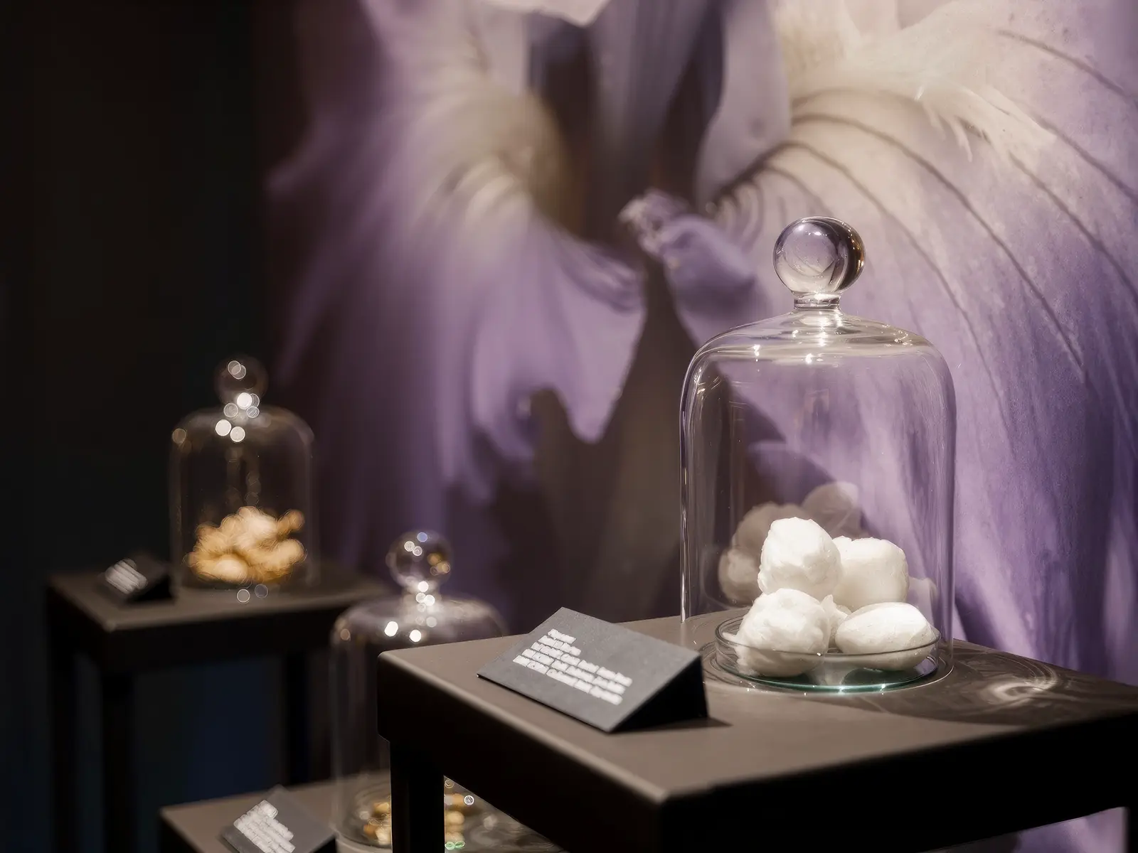 Kitchen_Stories_Brioni_Dualitè-lalique_crystal_edition-iris-blu